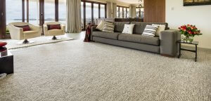 Cavalier Bremworth Carpet - Lisburn - Deloraine Carpet Centre Tasmania