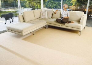 Feltex Carpet - Stefano - Winter Wheat - Deloraine Carpet Centre Tasmania