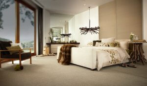 Godfrey Hirst Carpet - Ashwood Clove - Deloraine Carpet Centre Tasmania